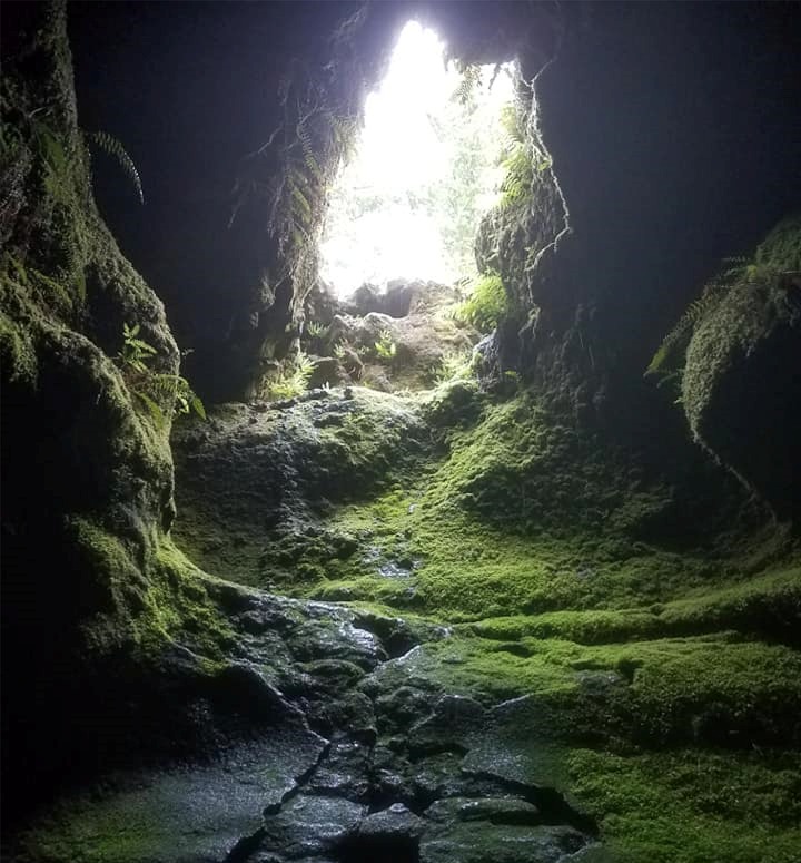 Click for larger image