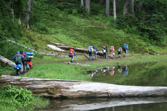 Click for larger image