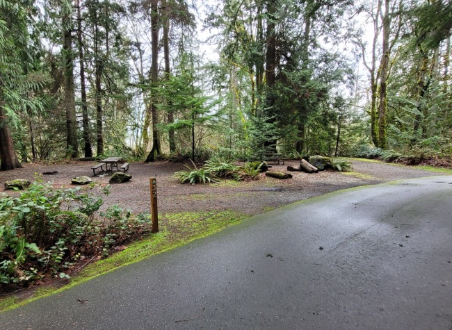 Click for larger image