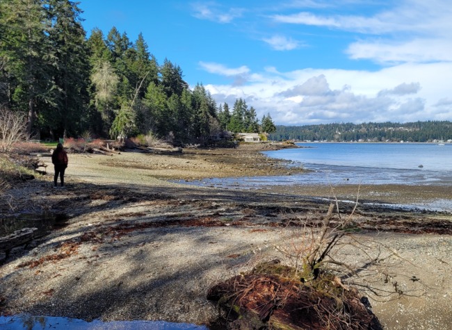 Click for larger image